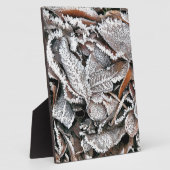 冬離れ フォトプラーク (側面)