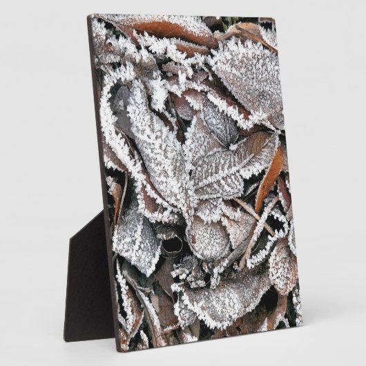 冬離れ フォトプラーク (側面)