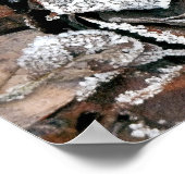 冬離れ ポスター (角)