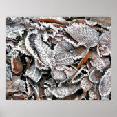 冬離れ ポスター (正面)