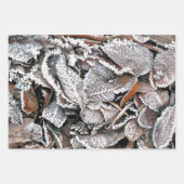 冬離れ ラッピングペーパーシート (正面2)