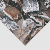 冬離れ 薄葉紙 (詳細)