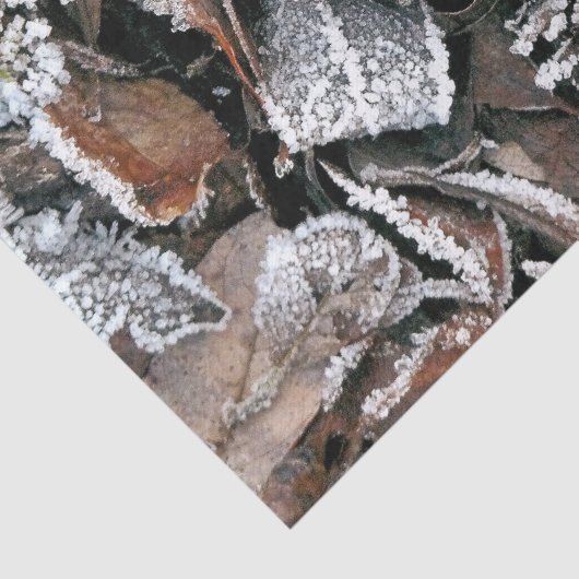 冬離れ 薄葉紙 (詳細)