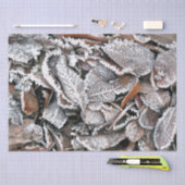 冬離れ 薄葉紙 (クラフト)