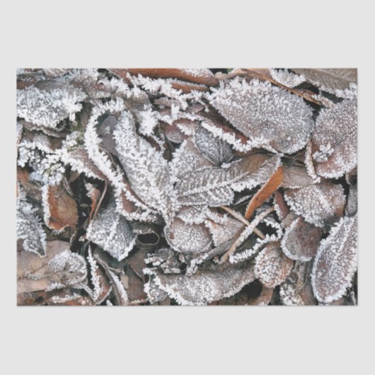 冬離れ 薄葉紙 (正面)