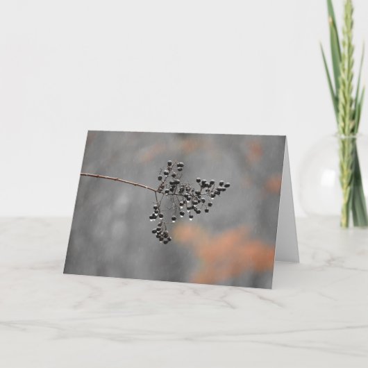 冬雨、カード カード (正面)