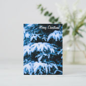 冬雪クリスマスツリー シーズンポストカード (スタンド正面)