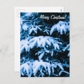 冬雪クリスマスツリー シーズンポストカード (正面/裏面)