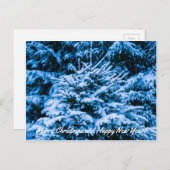 冬雪クリスマスツリー シーズンポストカード (正面/裏面)