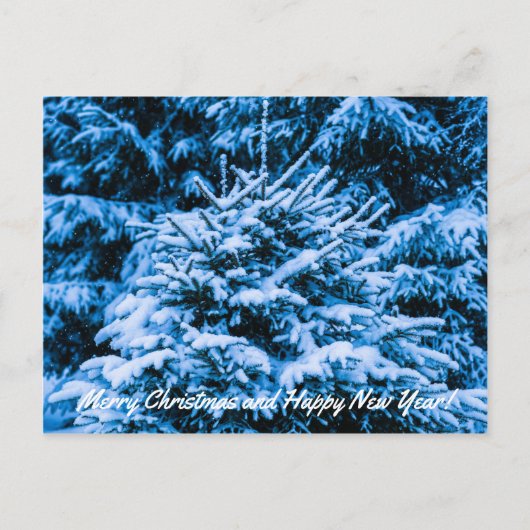 冬雪クリスマスツリー シーズンポストカード (正面)
