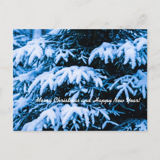 冬雪クリスマスツリー シーズンポストカード (正面)