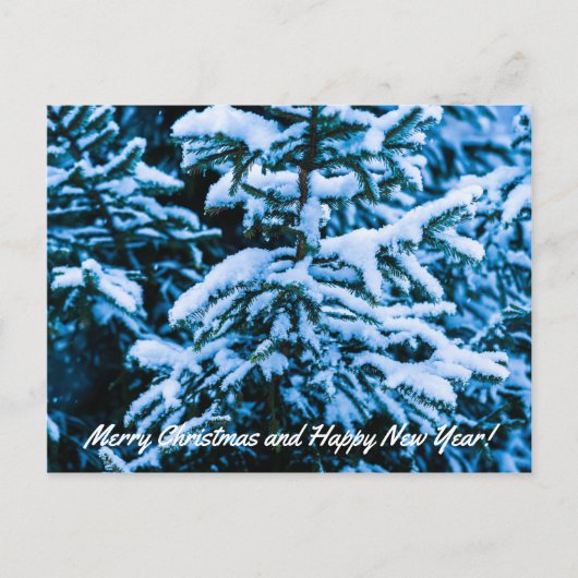 冬雪クリスマスツリー シーズンポストカード (正面)