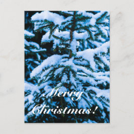 冬雪クリスマスツリー シーズンポストカード
