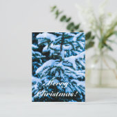 冬雪クリスマスツリー シーズンポストカード (スタンド正面)