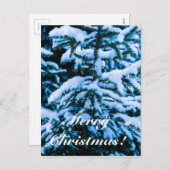 冬雪クリスマスツリー シーズンポストカード (正面/裏面)