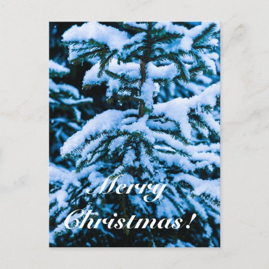 冬雪クリスマスツリー シーズンポストカード (正面)