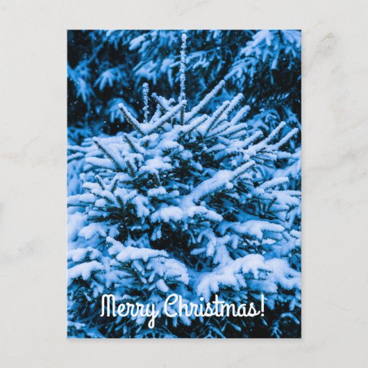 冬雪クリスマスツリー シーズンポストカード (正面)