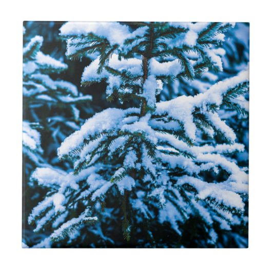冬雪クリスマスツリー タイル (正面)