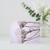 冬雪写真はがき ポストカード (スタンド正面)