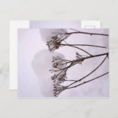 冬雪写真はがき ポストカード (正面/裏面)