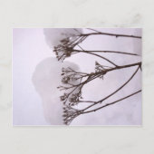 冬雪写真はがき ポストカード (正面)