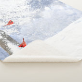 冬雪霜(鳥)ショウジョウコウカンチョウレッドバード自然アート シェルパブランケット (3/4)