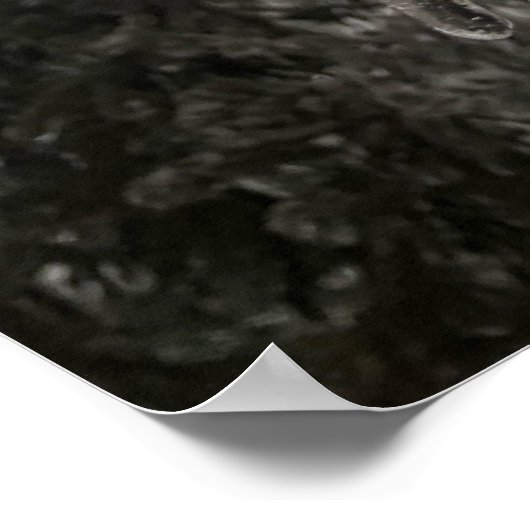 冬霜 ポスター (角)