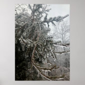 冬霜 ポスター (正面)