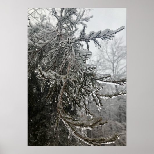 冬霜 ポスター (正面)