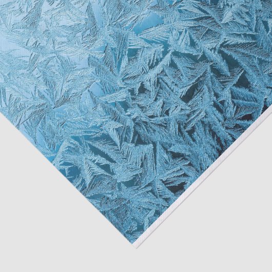 冬霜 薄葉紙 (詳細)