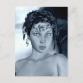 冬青葉書 ポストカード (正面)