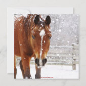 冬馬クリスマスパーティー 招待状 (裏面)