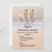 冬馬バチェロレッテ週末プログラムテンプレート 招待状 (正面)