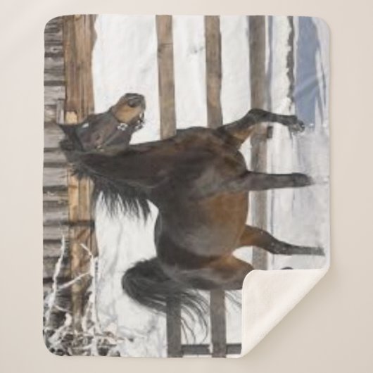 冬馬 シェルパブランケット (正面)