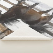 冬馬 シェルパブランケット (3/4)