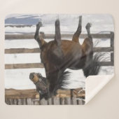 冬馬 シェルパブランケット (正面(横))