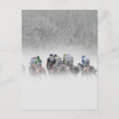 冬馬 ポストカード (正面)