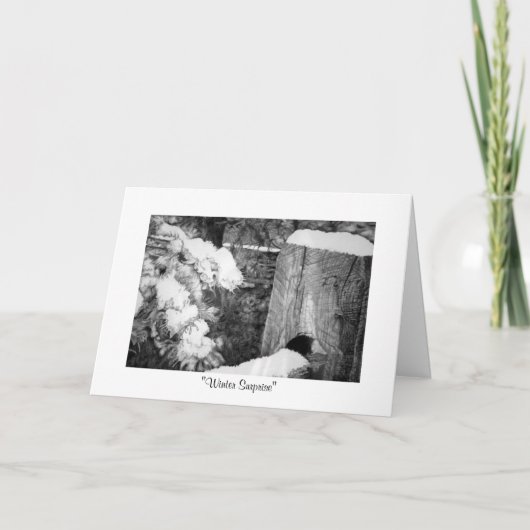 "冬驚き" シーズンカード (正面)