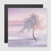 冬01 (正面/裏面)