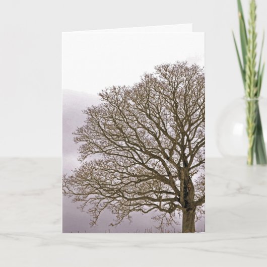 冬1のカシ シーズンカード (正面)