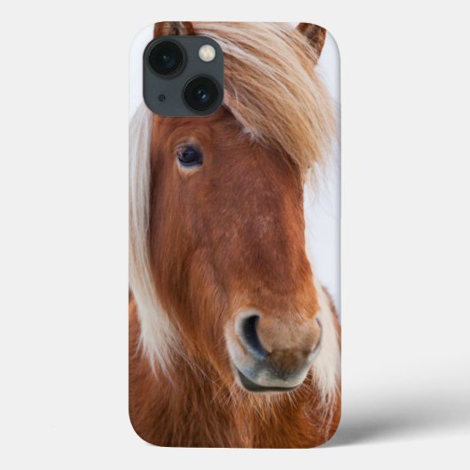 冬2の間のアイスランドの馬 Case-Mate iPhoneケース (裏面)