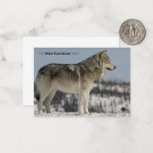 冬 – オオカミ ノートカード (正面/裏面インサイチュ)