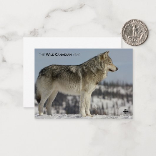 冬 – オオカミ ノートカード (正面/裏面インサイチュ)
