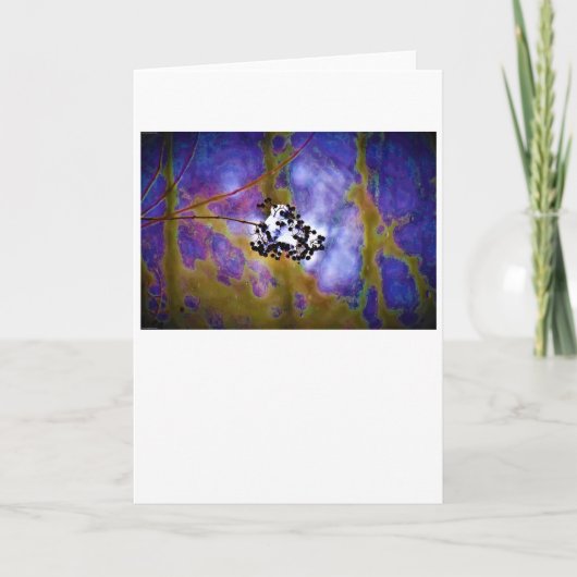 冬、カード カード (正面)