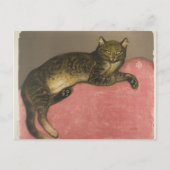 冬：クッションの上の猫、R. Steinlen ポストカード (正面)