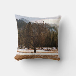 冬…... クッション