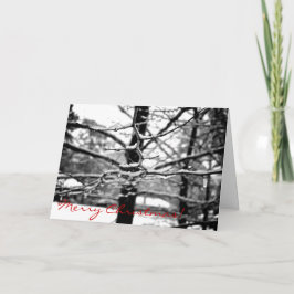 冬[クリスマスカード] シーズンカード