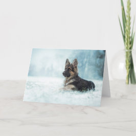 冬 シーズンカード