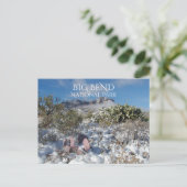 冬、チソス山脈、ビッグベンド国立公園 ポストカード (スタンド正面)