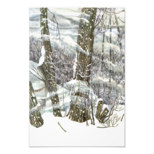 冬 フォトプリント            (正面)